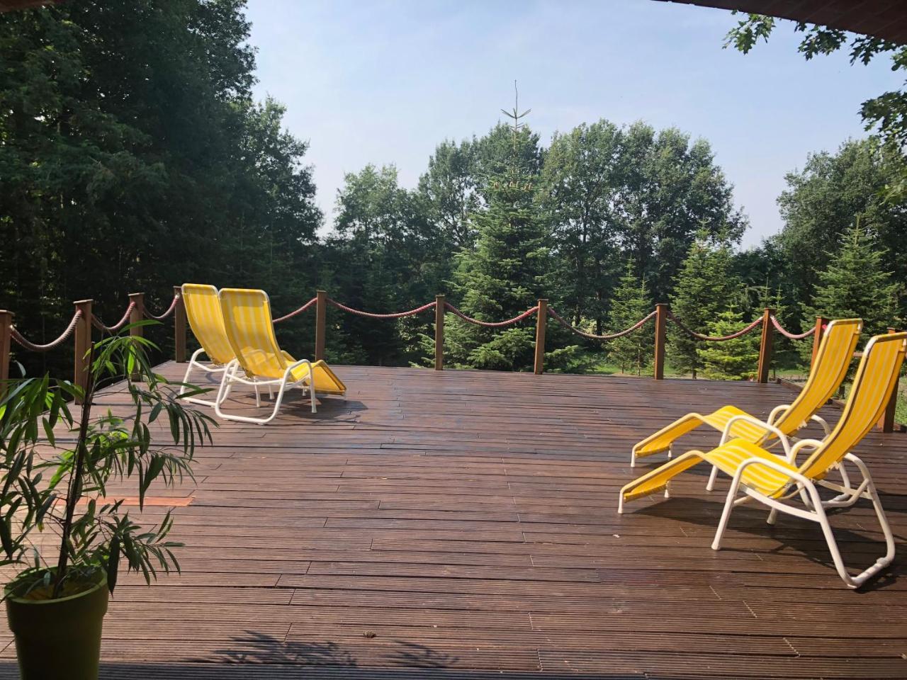 Hotel Niedersaechsischer Hof Bad Bentheim Zewnętrze zdjęcie